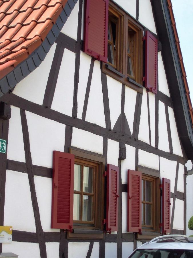 Ferienhaus Pfalzklause Billigheim-Ingenheim Екстериор снимка